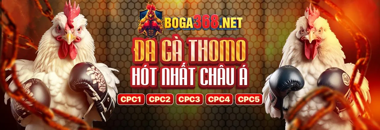Hình ảnh chính về Tuân thủ GDPR của i9bet141 Casino