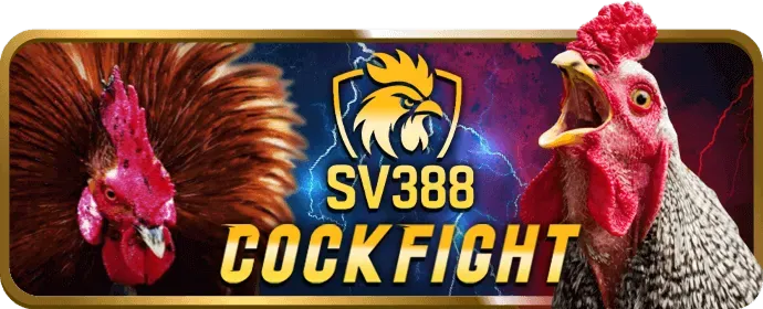 Cá nhân hóa trải nghiệm người dùng tại i9bet141 Casino
